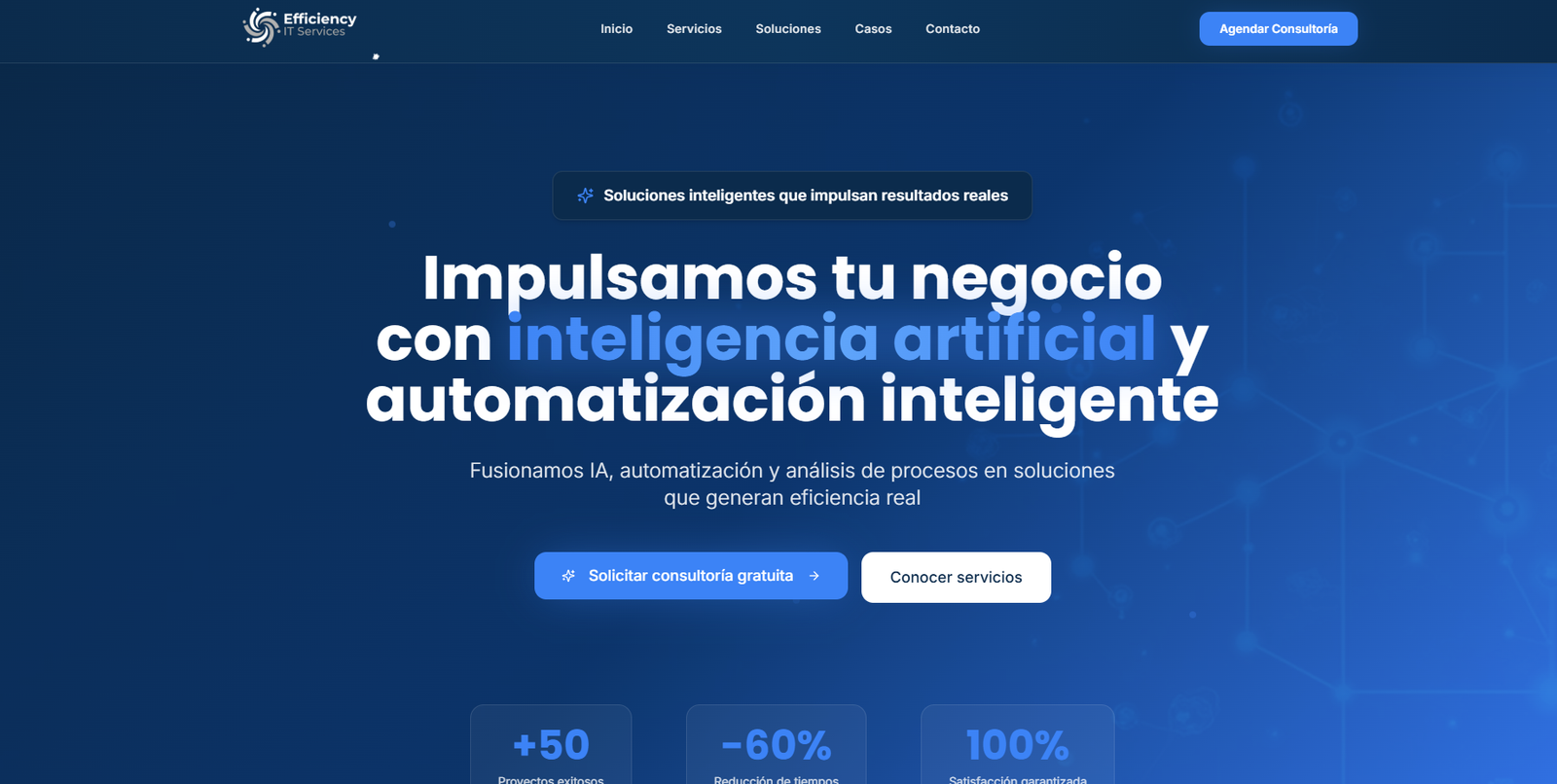 Screenshot del proyecto Efficiency IT Services