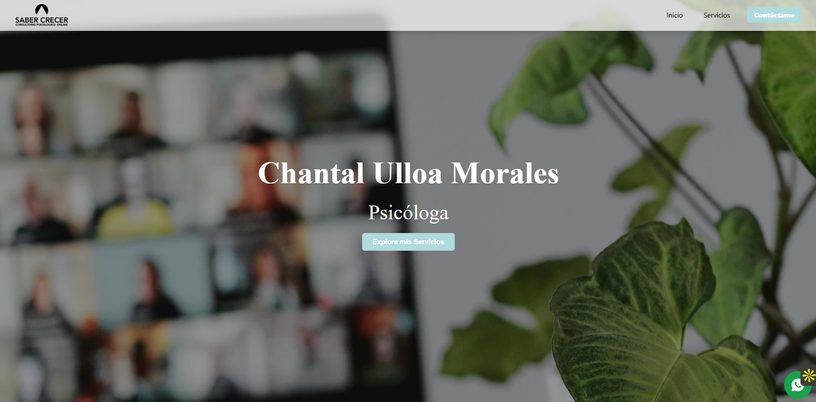 Screenshot del proyecto Saber Crecer